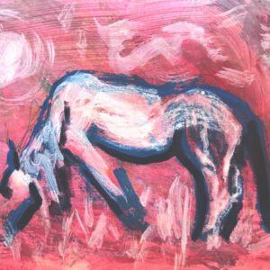 a white horse grazes in a pink field