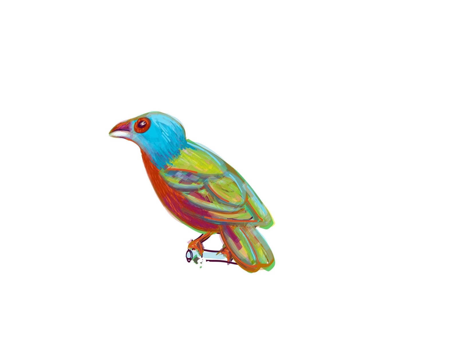 Colorful bunting bird #100daysofdigitalsketch